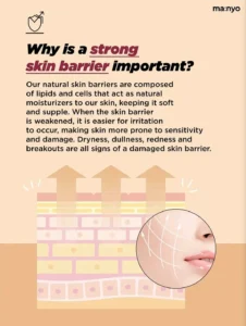 Ma:nyo - Bifida Biome Ampoule Toner [400ml] - Image 2